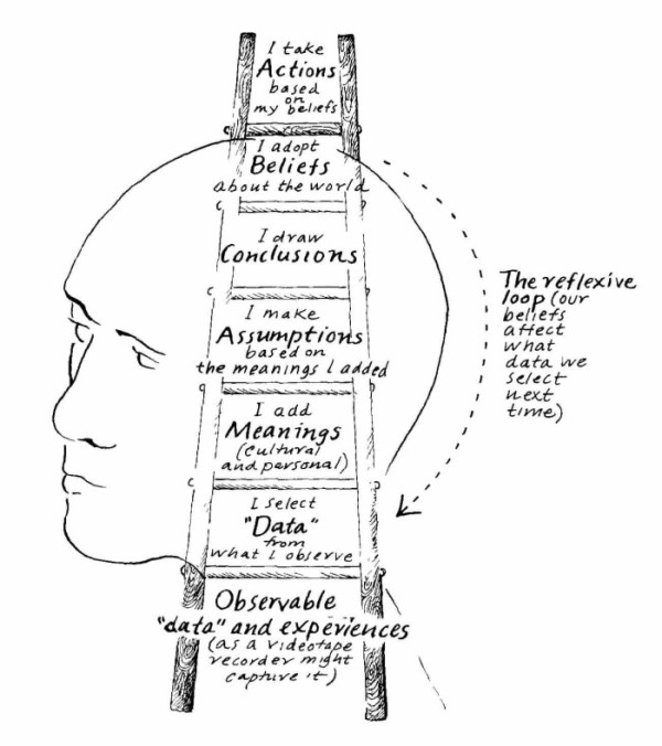 Ladder-of-Inference-Martie-Holmer-Version